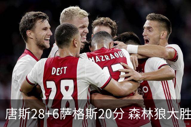 唐斯28+6萨格斯20分 森林狼大胜终结魔术连胜